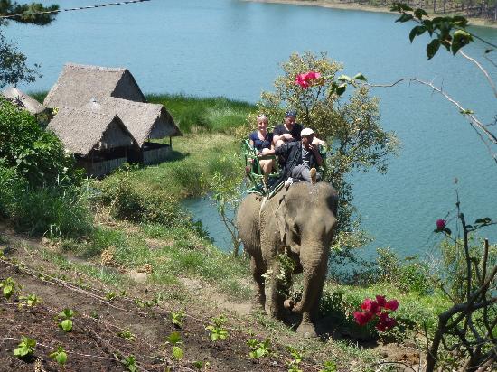 Elephant ride at Tuyen Lam Lake, Dalat