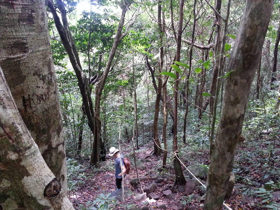 Trip to discover Con Dao National Park, Vietnam