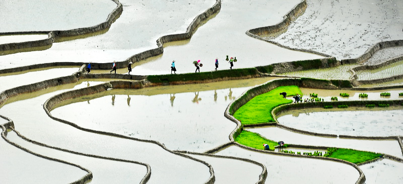 Mu Cang Chai Rice Fields (Yen Bai, Northern Vietnam)