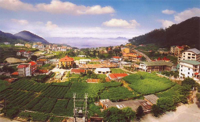 Tam Dao – An ideal place in Vietnam for active honeymooners